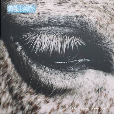 Smag På Dig Selv - This Is Why We Lost