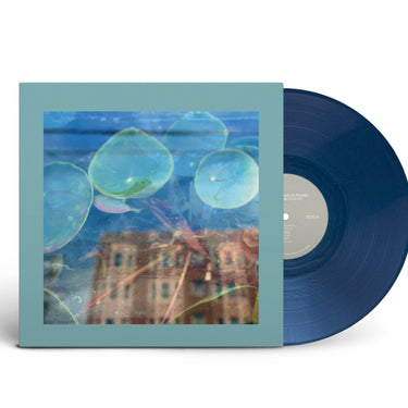 The Reds, Pinks and Purples - Acknowledge Kindness