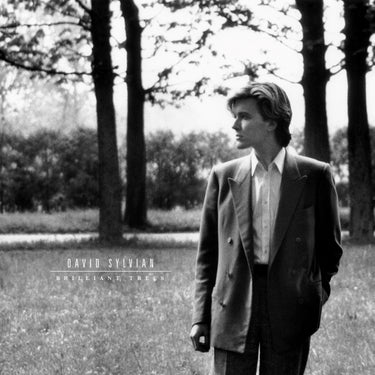 David Sylvian - Brilliant Trees (2025 Reissue)