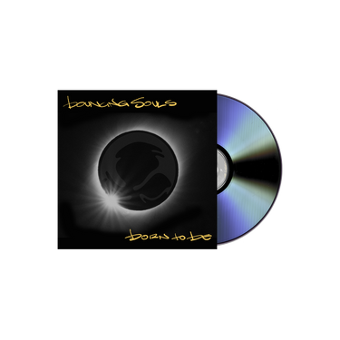 Bouncing Souls - Born To Be