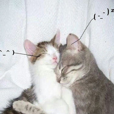 Retail Drugs - i love you so!