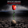 Spock's Beard - The Archaeoptimist