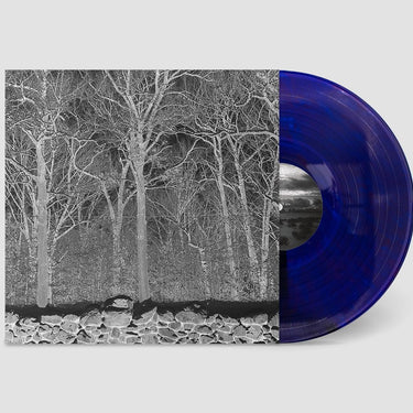 Pile - Sunshine and Balance Beams