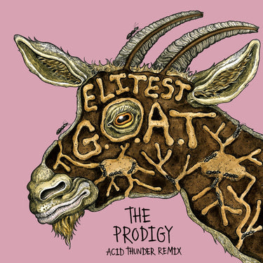 Sleaford Mods feat. Aldous Harding - Elitest G.O.A.T. (The Prodigy Acid Thunder Mix)