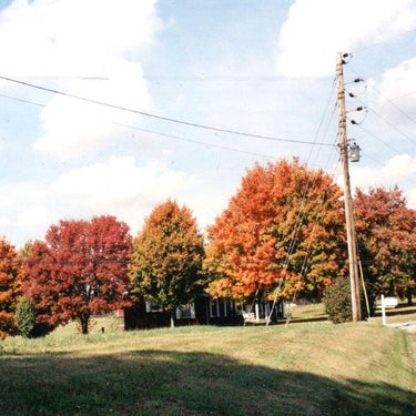 vegas water taxi - things are gonna be alright (extended edition)