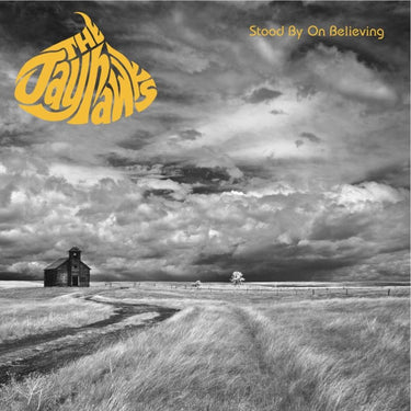 The Jayhawks - Stood By On Believing - The Classic Broadcasts 89-95
