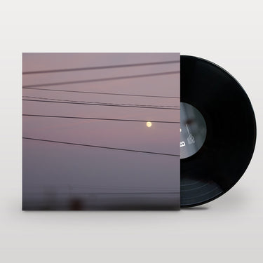 LP