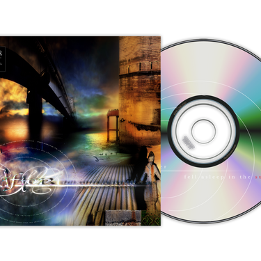 CD with 12 Page Die-cut Booklet