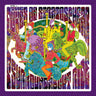 Xtc as Dukes of Stratosphear - Psurroundabout Ride