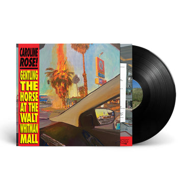 Vinyl