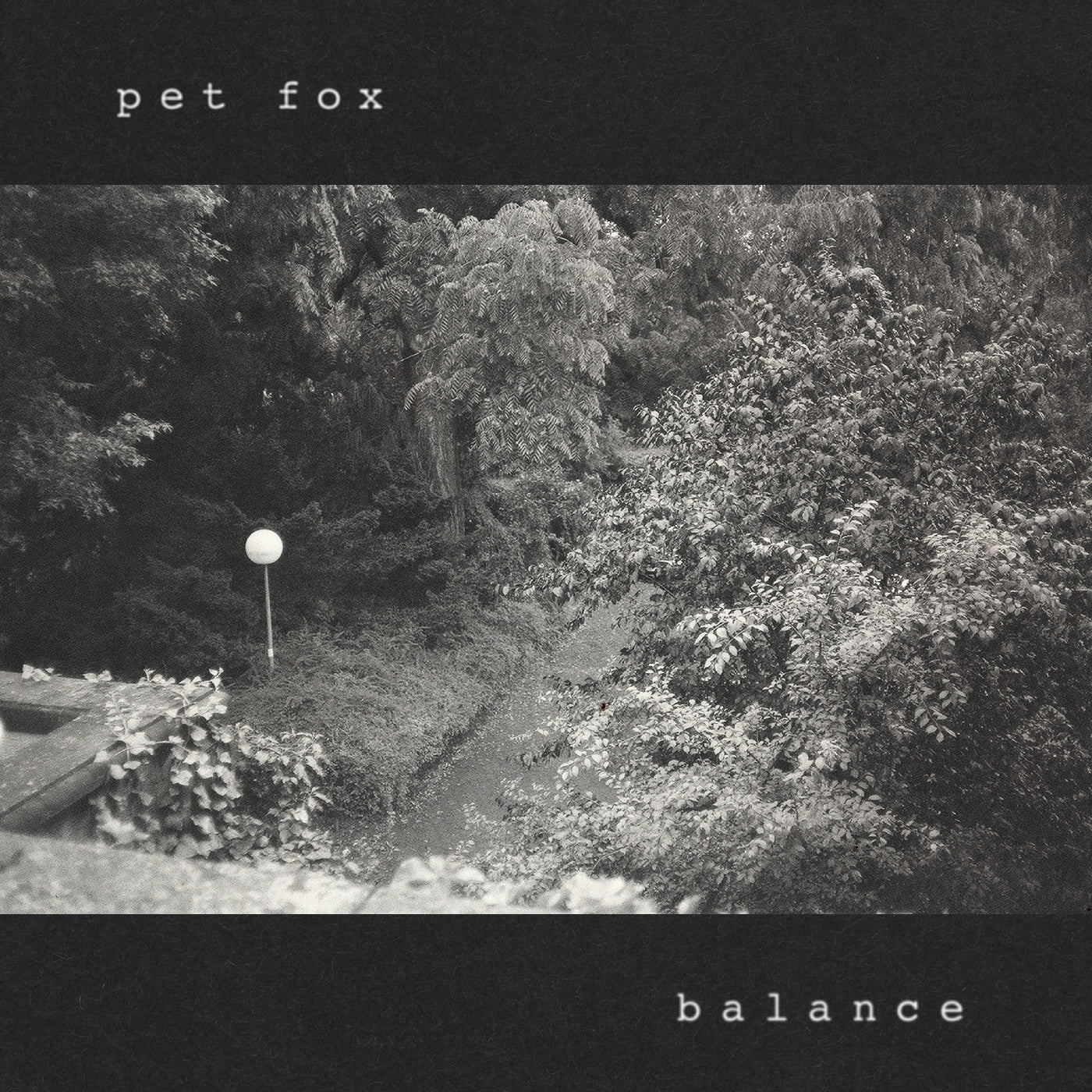 Pet Fox - Balance