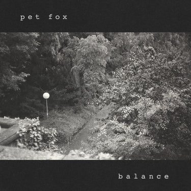 Pet Fox - Balance