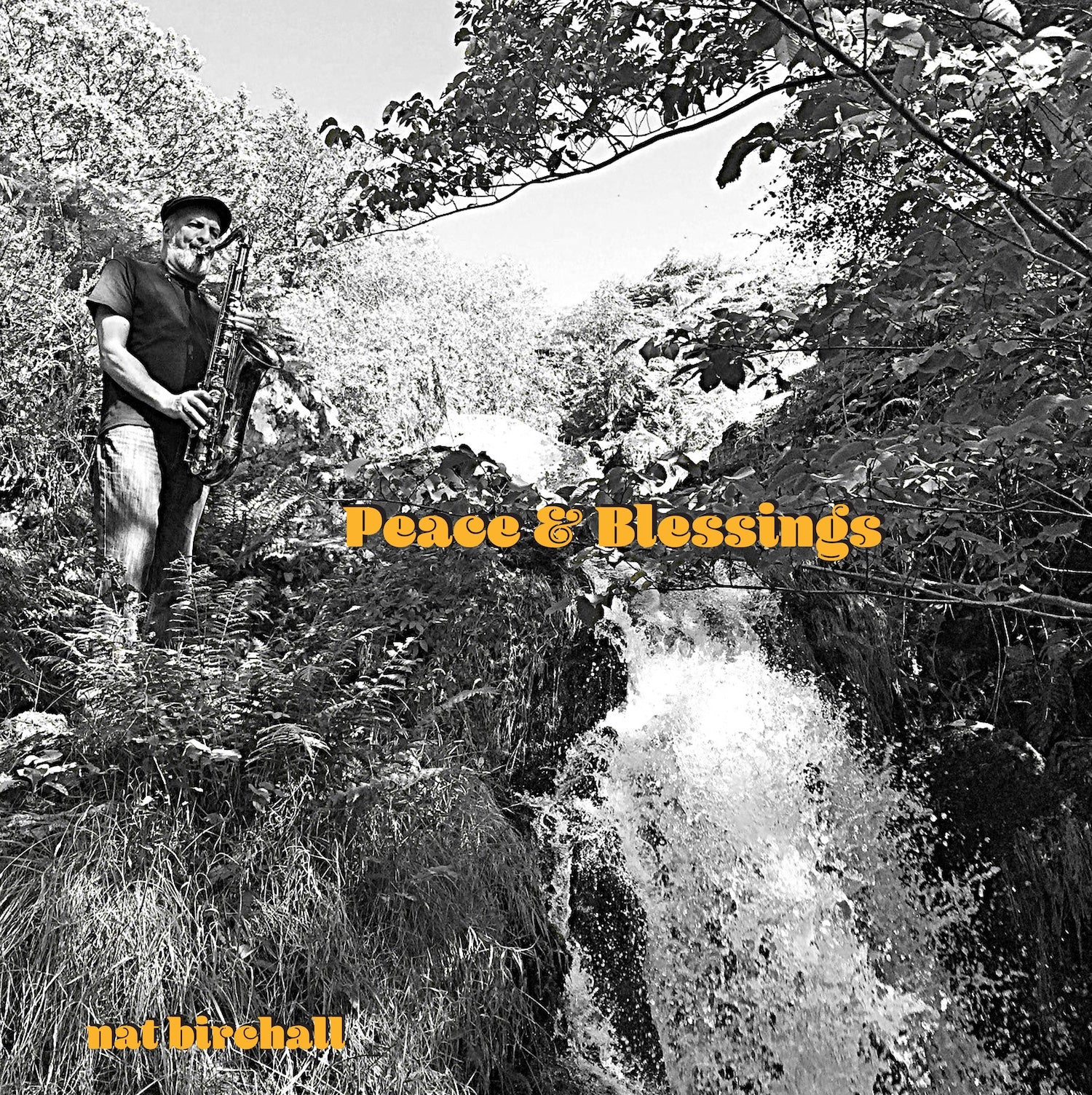 NAT BIRCHALL - Peace And Blessings