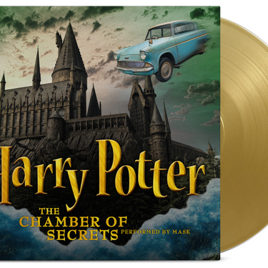 Mask - Harry Potter and The Chamber Of Secrets