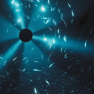 Laurel Halo - Midnight Zone (Original Soundtrack to the Film by Julian Charrière)