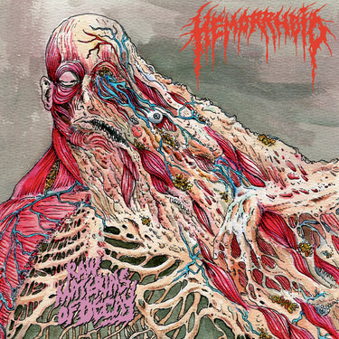 Hemorrhoid - Raw Materials of Decay