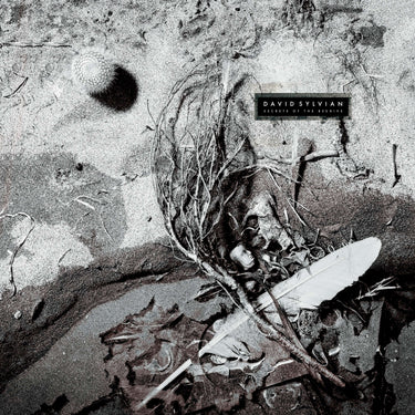 David Sylvian - Secrets Of The Beehive (2025 Reissue)
