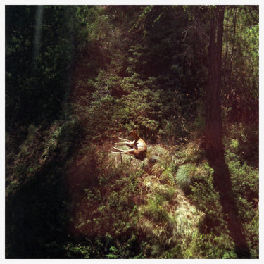 Will Samson - Sings Again