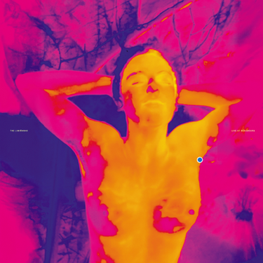 THE LIMINANAS - Live At Beaubourg