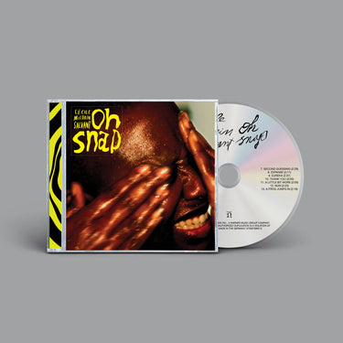 Cecile Mclorin Salvant - Oh Snap