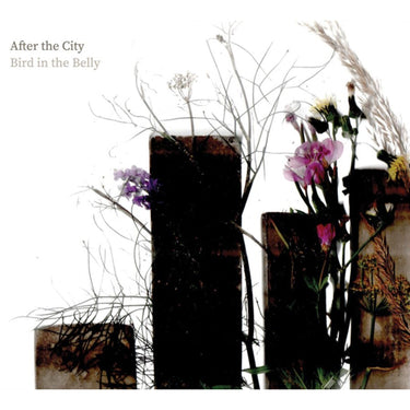 Bird In The Belly - After The City
