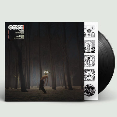 Geese - Projector