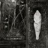 Wolves In The Throne Room - Estuary