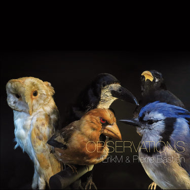 Erik M & Pierre Bastien - Observations