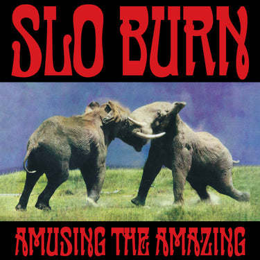 Slo Burn - Amusing The Amazing - [Black Friday 2025]