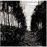 Edgar Broughton - Break The Dark