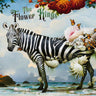 The Flower Kings - Hope