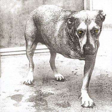 Alice in Chains - Alice in Chains (30th Anniversary)