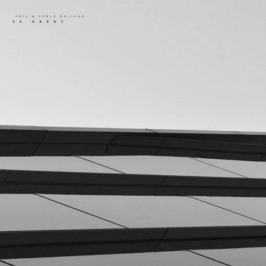 .VRIL & Pablo Bolivar - 24 Karat