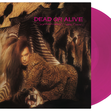 Dead Or Alive - Sophisticated Boom Boom