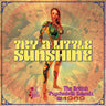 Various Artists - Try A Little Sunshine: The British Psychedelic Sounds Of 1969