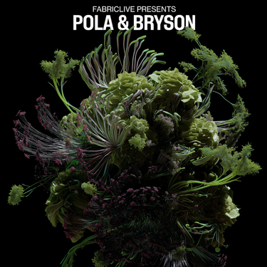 Various Artists - Fabriclive Presents Pola & Bryson