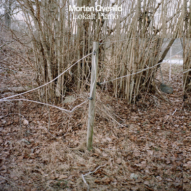 Morten Qvenild - Lokalt Piano