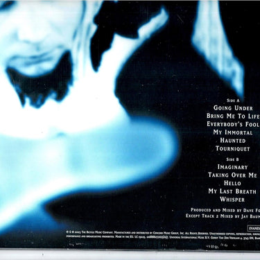Evanescence - Fallen