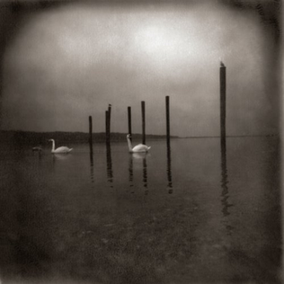 Om - Conference of the Birds (Reissue)