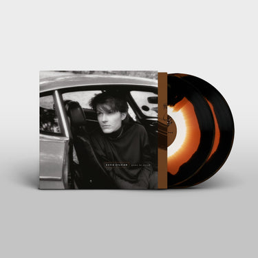 David Sylvian - Gone To Earth (2025 Reissue)
