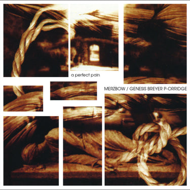 Merzbow / Genesis Breyer P-Orridge - A Perfect Pain