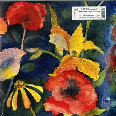 Adrianne Lenker - Songs And Instrumentals
