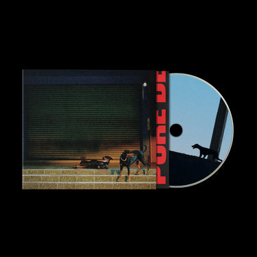 CD