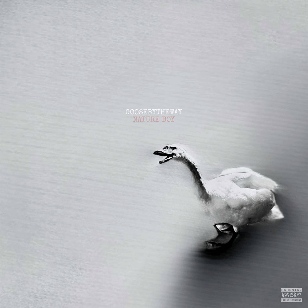Goosebytheway - Nature Boy