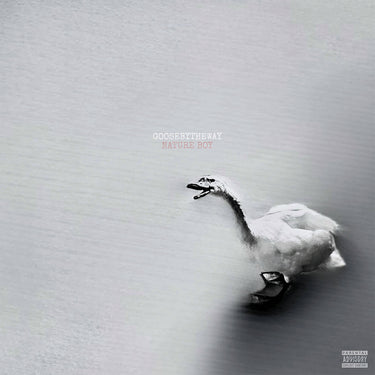 Goosebytheway - Nature Boy