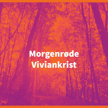 Viviankrist (Gallhammer) - Morgenrøde