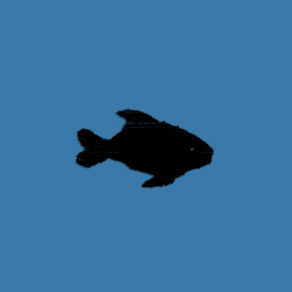 Oxis - Oxis 8