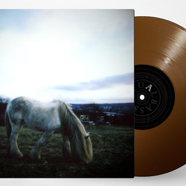 180g Brown LP