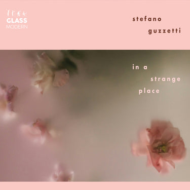 Stefano Guzetti - In A Strange Place