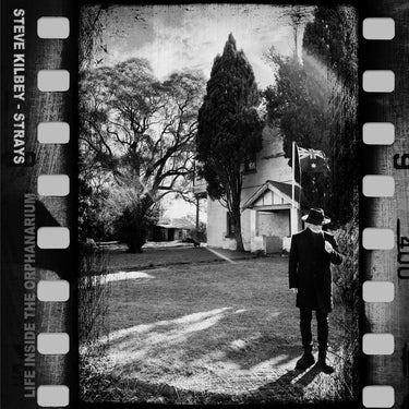 Steve Kilbey - Strays (Life Inside the Orphanarium)